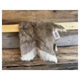 Whitetail backskin hide