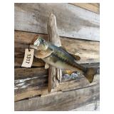 Black bass mount