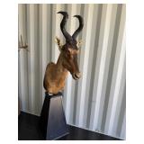 Hartebeest pedestal mount