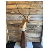 Red Lechwe Pedestal mount