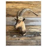 Ibex Shoulder mount