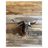 Billy Goat mount