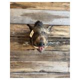 Boar mount