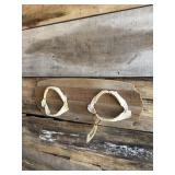 Shark mandibles