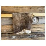 Appears to be Impala backskin hide