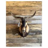 Billy Goat mount