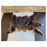 Bear hide- NO OUT OF STATE SHIPPING