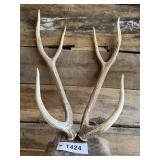 Pair of heavy Axis sheds