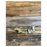 Black bass wall mount