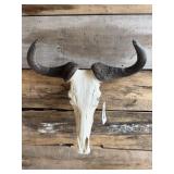 Wildebeest European mount