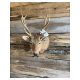 Sika mount