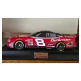 Dale Earnhardt, JR  Racing Lot