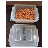 Assorted 38 Caliber Bullets, FMJ