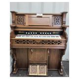 Organ
