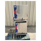 ACS double electric steamer
