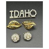 Earrings and a brooch. Idaho brooch pin.