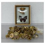 Vintage collection of brass or gold-toned buttons