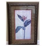 Large Framed Tropical Botanical Print with