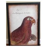 Textured Framed Cuban Parrot  Wall Art Le