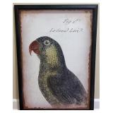 Textured Framed Le Grand Lori Parrot Wall Art