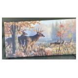 Deer art on canvas, 24 x 49 inches