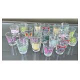 Set of 22 Humorous Novelty Shot Glasses