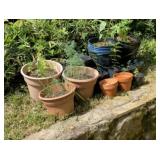 Lot of Assorted Flower Pots & Nursery Planters ï¿½