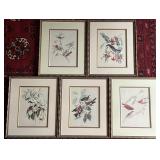 5 Vintage Framed Ornithological Bird Prints