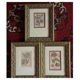 3 Framed Botanical Prints, Vintage Floral Book