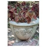 Cast Stone Grape Cluster Relief Footed Garden