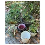 Large Mixed Garden Planter Lot, Glazed Ceramic and