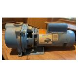 Goulds IRRI-GATOR GT20 Self Priming Centrifugal