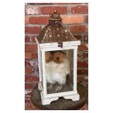 Rustic White Wood and Metal Owl Lantern Candle