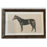 Marmont Framed Equestrian Horse Art Print, 12 x