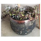Large Glazed Ceramic Planter with Faux Coleus