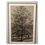 Framed Monochrome Woodland Landscape Art Print 24