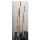 3 Natural Driftwood Branch Sculptures on Black