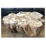 Organic Modern Faux Petrified Wood Root Coffee