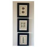Vintage Ornithology Bird Egg Lithograph Prints