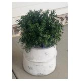 Rustic White Distressed Planter with Green