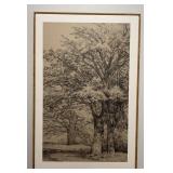 Framed Monochrome Woodland Landscape Art Print 24