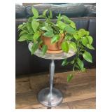 Arhaus 23 Tall Metal Pedestal Plant Stand Side