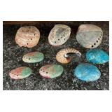 9 Piece Natural Seashell Collection, Abalone
