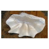 Oversized Faux Giant Clam Shell Coastal Nautical