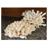 Pair White Coral Reef Decor Specimens, Branching
