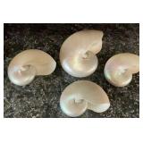 4 Piece Mother of Pearl Nautilus Shell