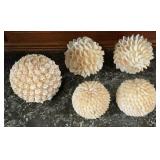 5 Piece Decorative Seashell Ball Collection,
