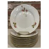 11 Rosenthal Classic Germany Porcelain Pink Rose