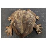 Cast Iron Budgett's frog