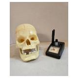 Skull Model & Desk Clock Organizer Set